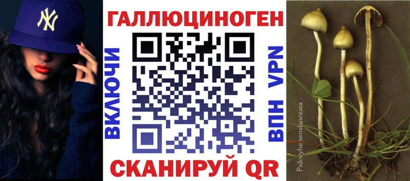 Галлюциногенные грибы GOLDEN TEACHER  как найти закладки  Вышний Волочёк 